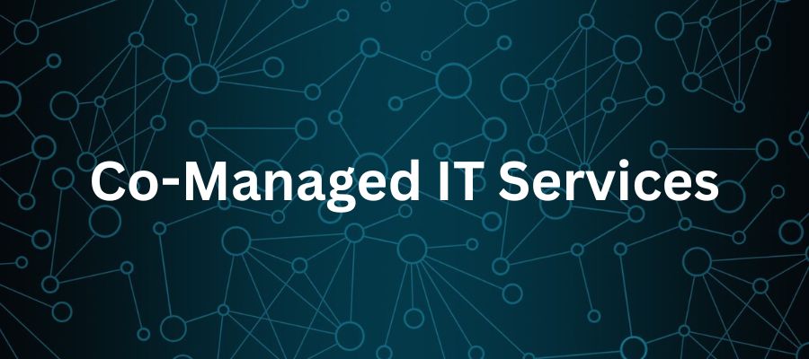 Co-managed It Services Lake Elsinore