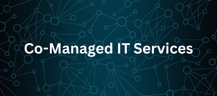 Co-Managed IT Services